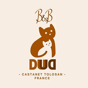 dudu.midi-pyreneeshotels.com/